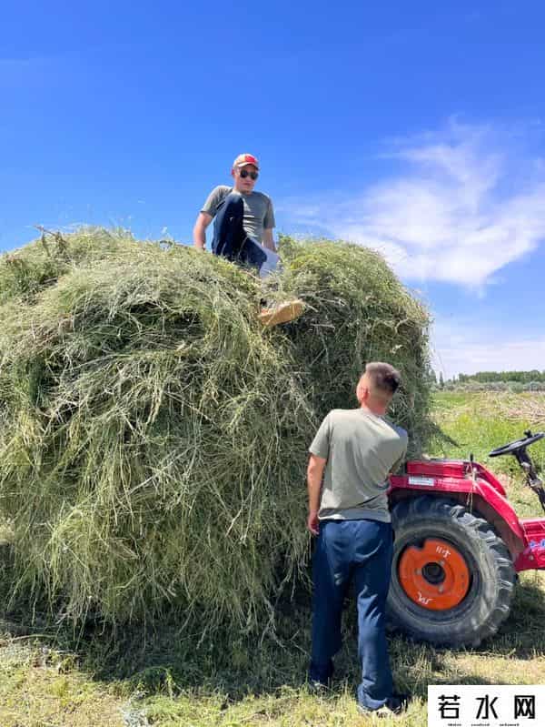 90后宝妈沙漠边缘送奶茶月入7000