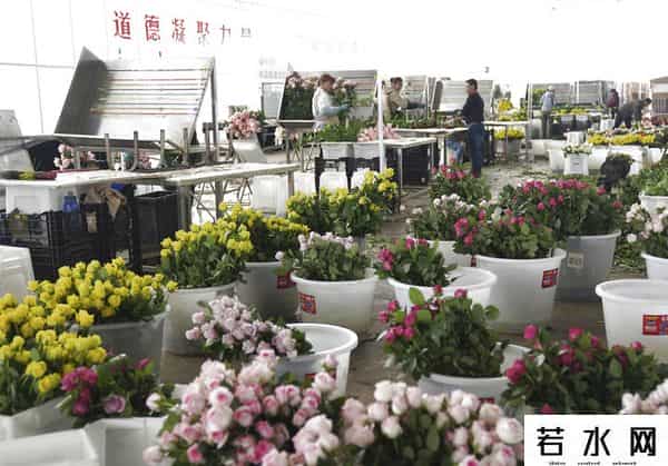 2021全年资料免费大全下载