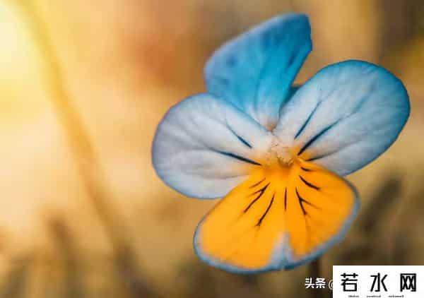 永远保持随时可以离开的能力