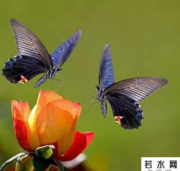 仅三成网民月收入在5000元以上