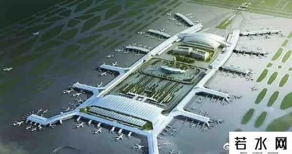 广东最大的蟑螂是白云机场