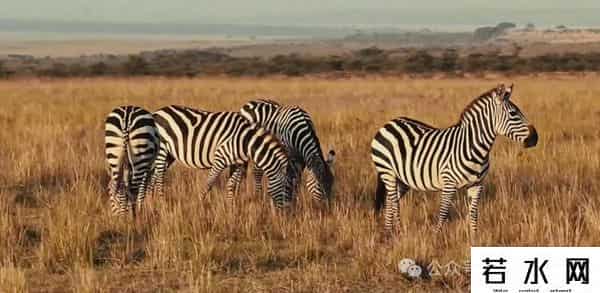 撒哈拉以南的非洲