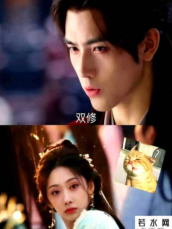 要久久爱有效播放量破12亿