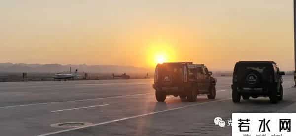 狼群西瓜视频在线观看免费