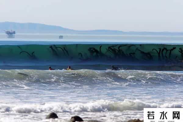 瓦莱里娅 卢基亚诺娃