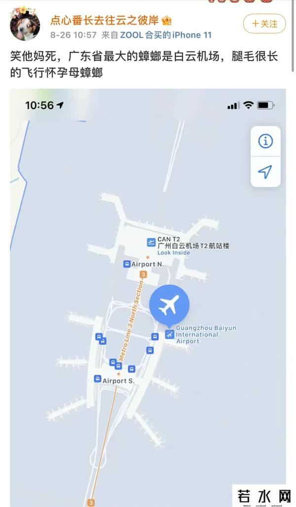 广东最大的蟑螂是白云机场