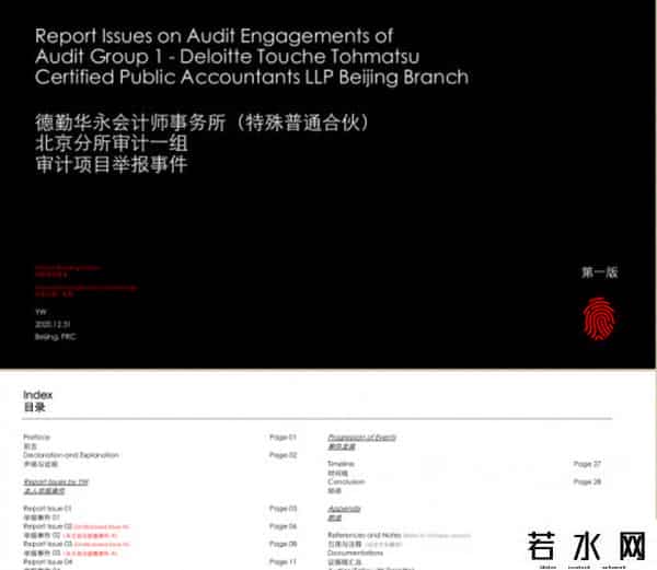 红黄蓝涉及德勤举报