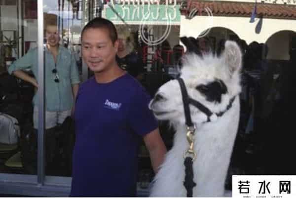 delivering happiness