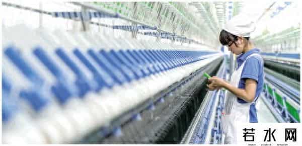 两个树的标志是什么牌子的衣服