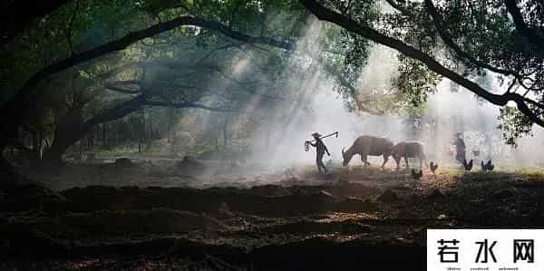 过日子要有技术含量