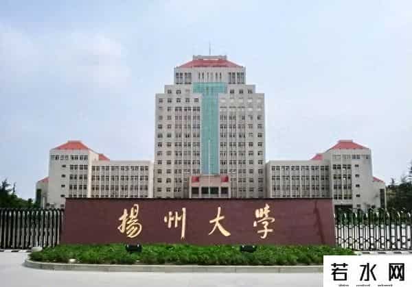 985本硕生转读烹饪技校