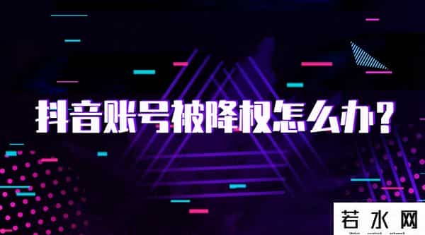 抖音账号权重查询