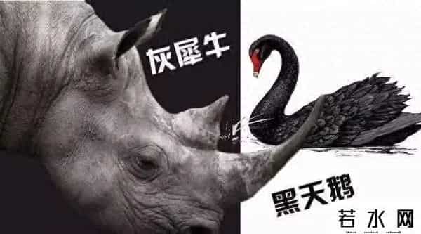 黑天鹅事件是什么意思