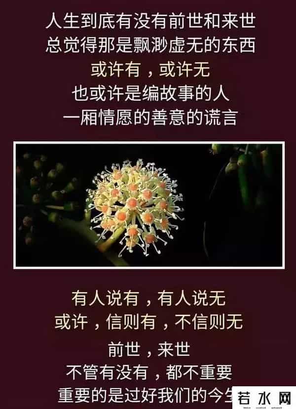 昨天的你的现在的未来