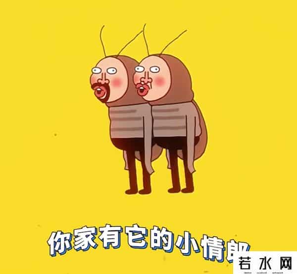 纯情丫头火辣辣