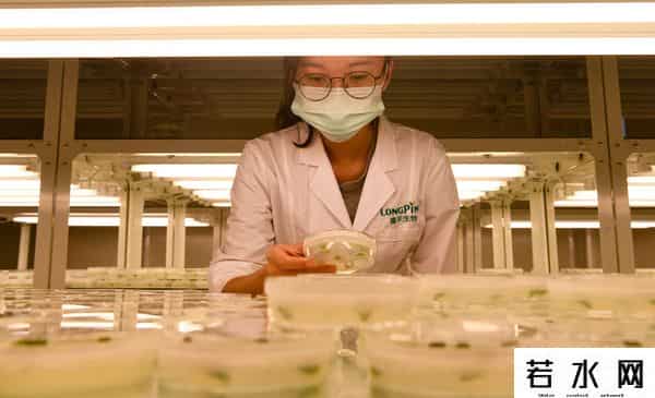 2021全年资料免费大全下载