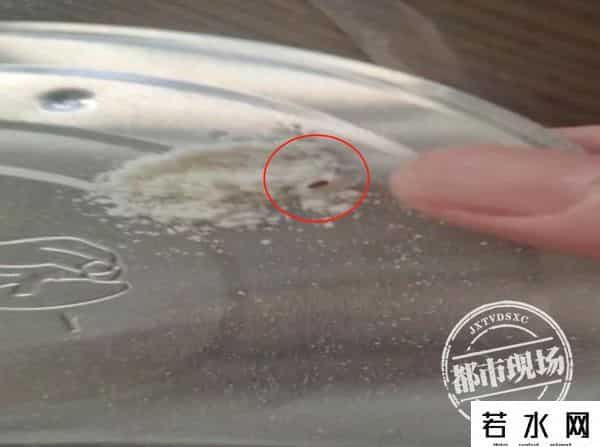 奶粉里吃出活虫