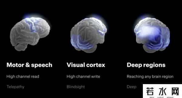 马斯克脑机接口迎来重大进展