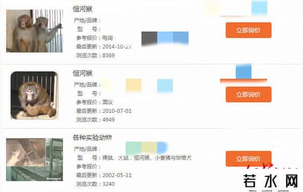 美国医药界满世界找猴子