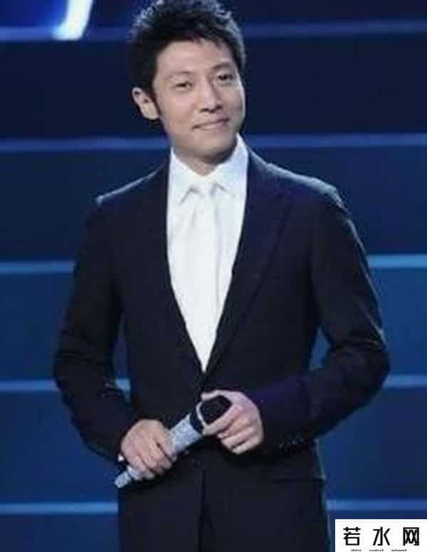 张泉灵北大演讲