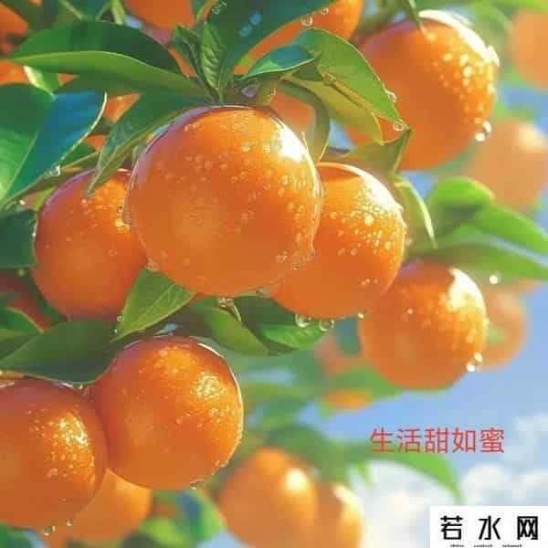 惊喜惊喜为什么停播