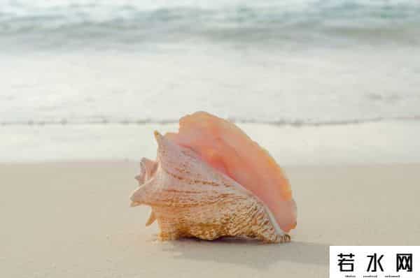 世界上最稀有的颜色