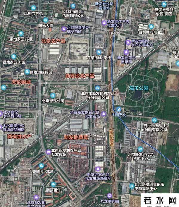 新发地十大王都有谁