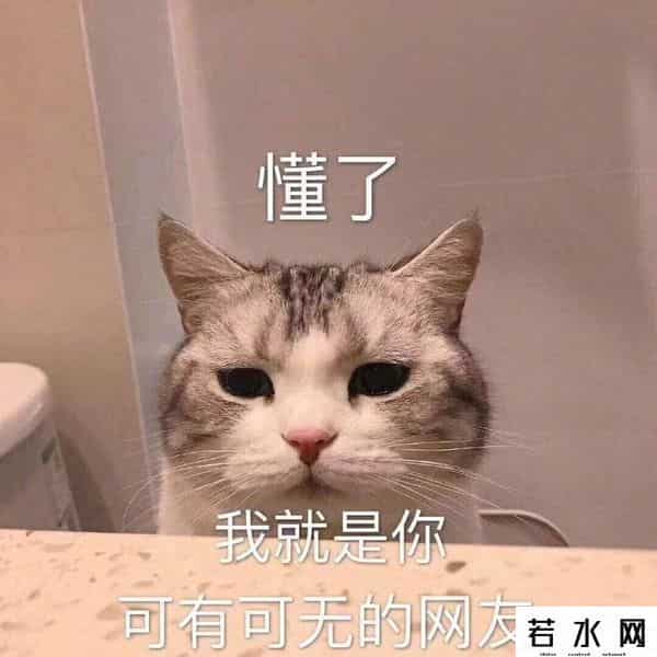 微信评论表情包