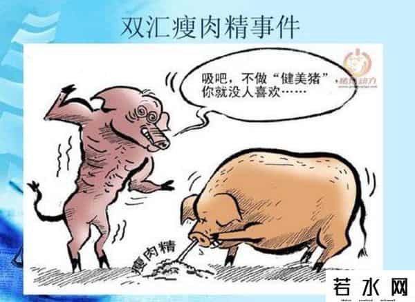 双汇瘦肉精事件