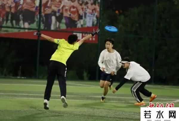 飞盘为什么会爆火