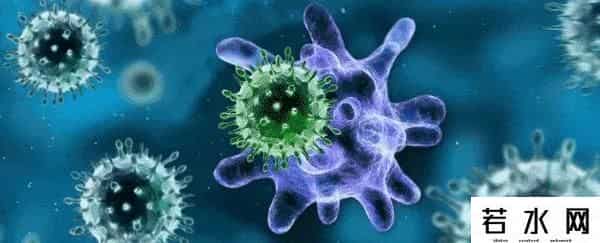 过日子要有技术含量