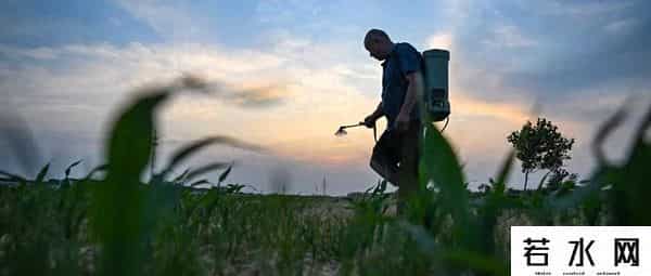 “中原粮仓”河南被推上风口