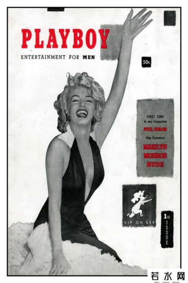 花花公子成人网站