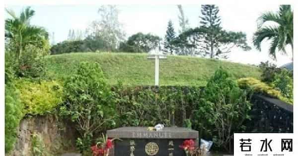 大胸年轻的搜子4