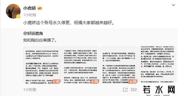 陶白白是一个什么梗