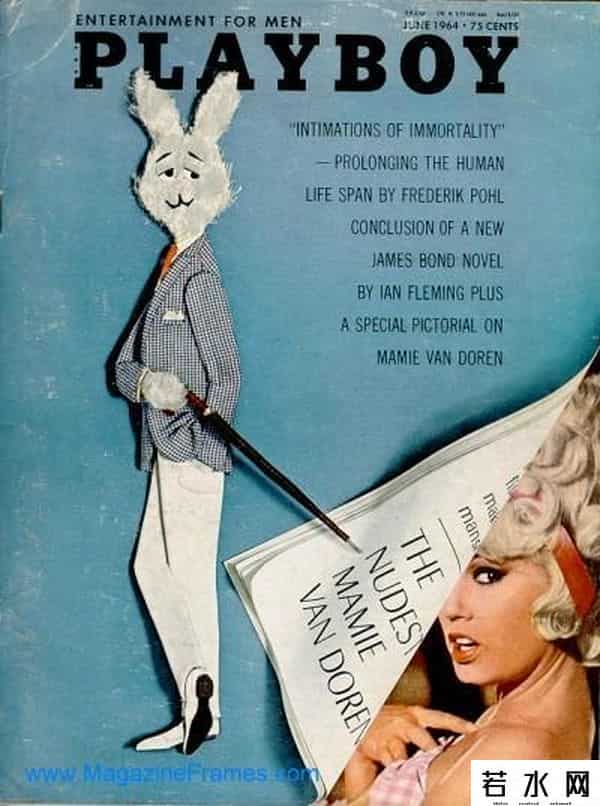 花花公子成人网站