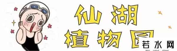 丁一晨非你莫属