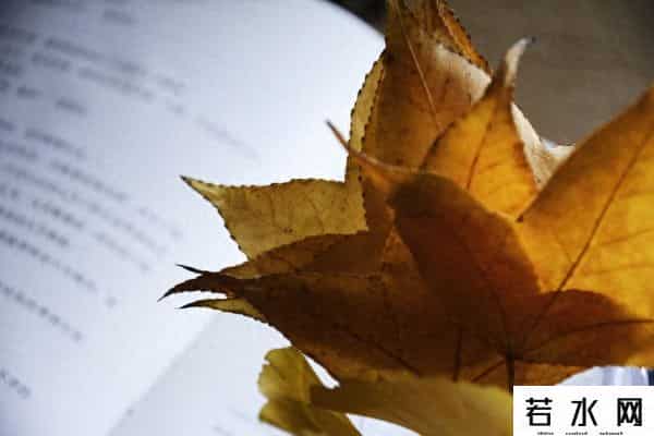 职场黄金法则20条