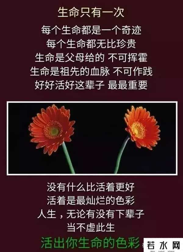 昨天的你的现在的未来