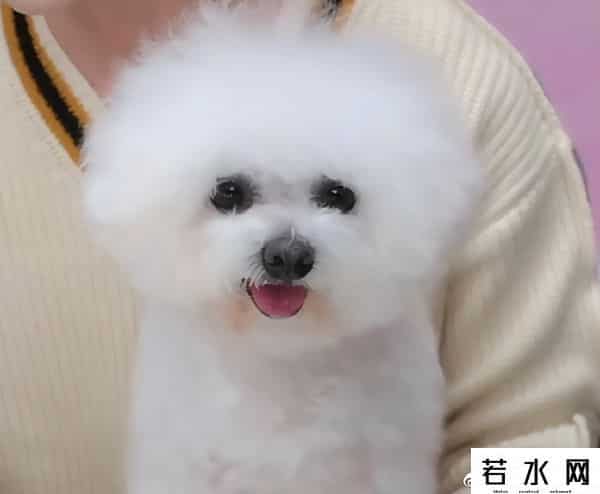 李佳琦被永久封禁了吗