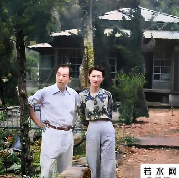 大胸年轻的搜子4