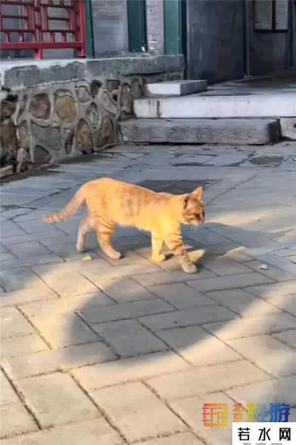 故宫博物院卖萌