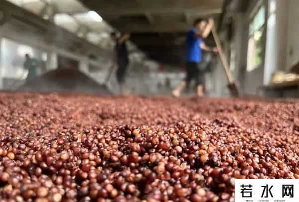 于今酒好在茅台