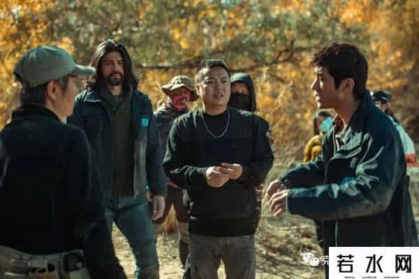 狼群西瓜视频在线观看免费