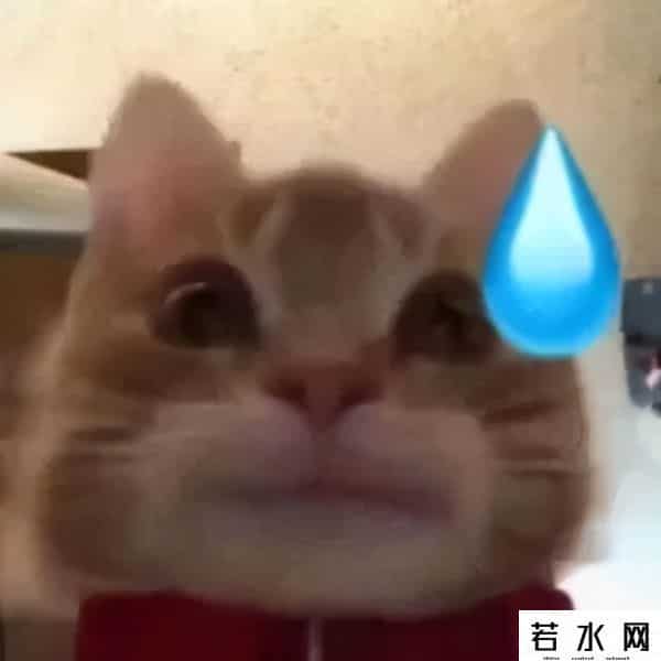 qq旋风离线下载是什么意思