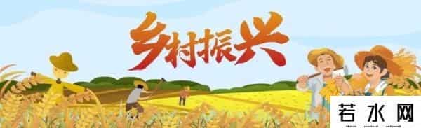 核污水排海后-中国鳗鱼之乡的担忧