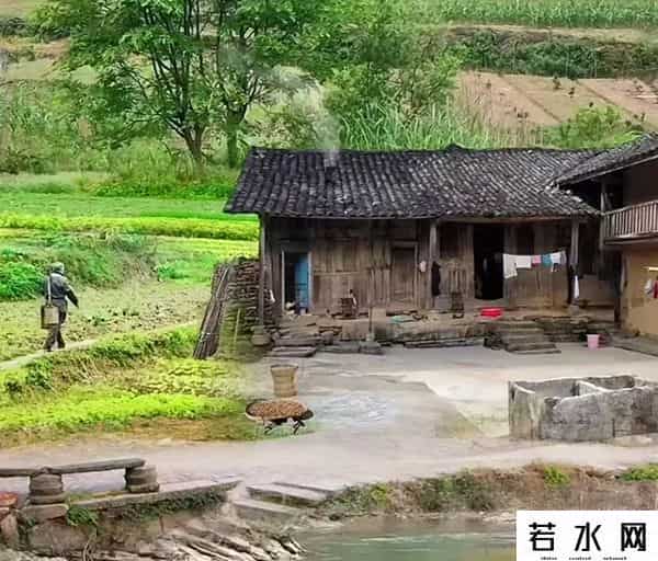 酒店养老走红网络