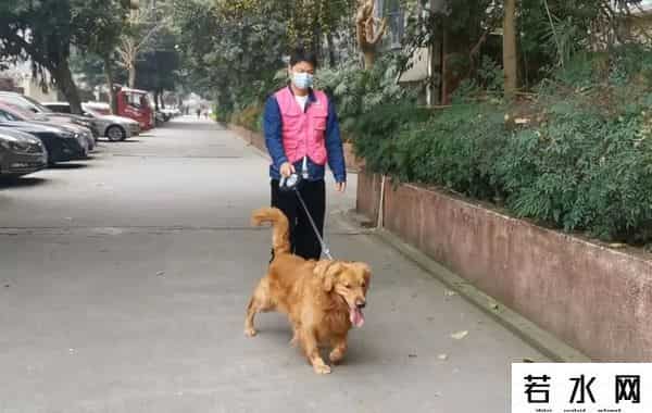 女子过年不回家搞副业十天赚几千