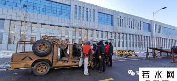 狼群西瓜视频在线观看免费