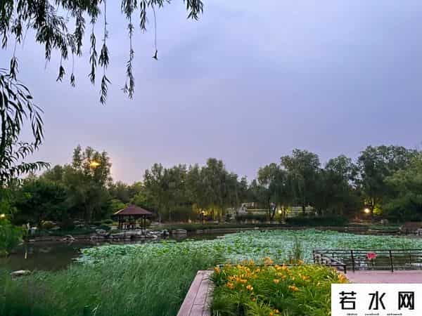 1.09亿的万柳法拍房藏着什么秘密-